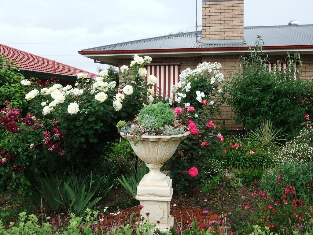 Admurraya House Bed & Breakfast Rutherglen Exterior foto