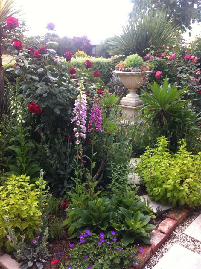 Admurraya House Bed & Breakfast Rutherglen Exterior foto